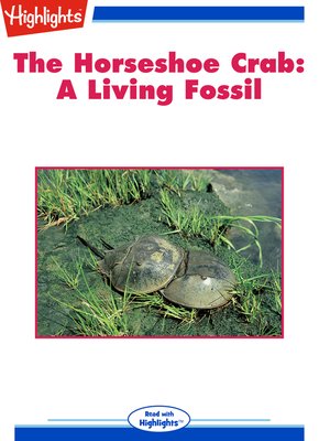 cover image of The Horseshoe Crab